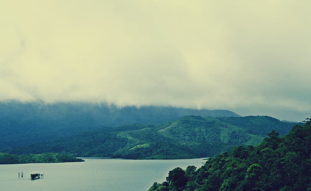 Wayanad